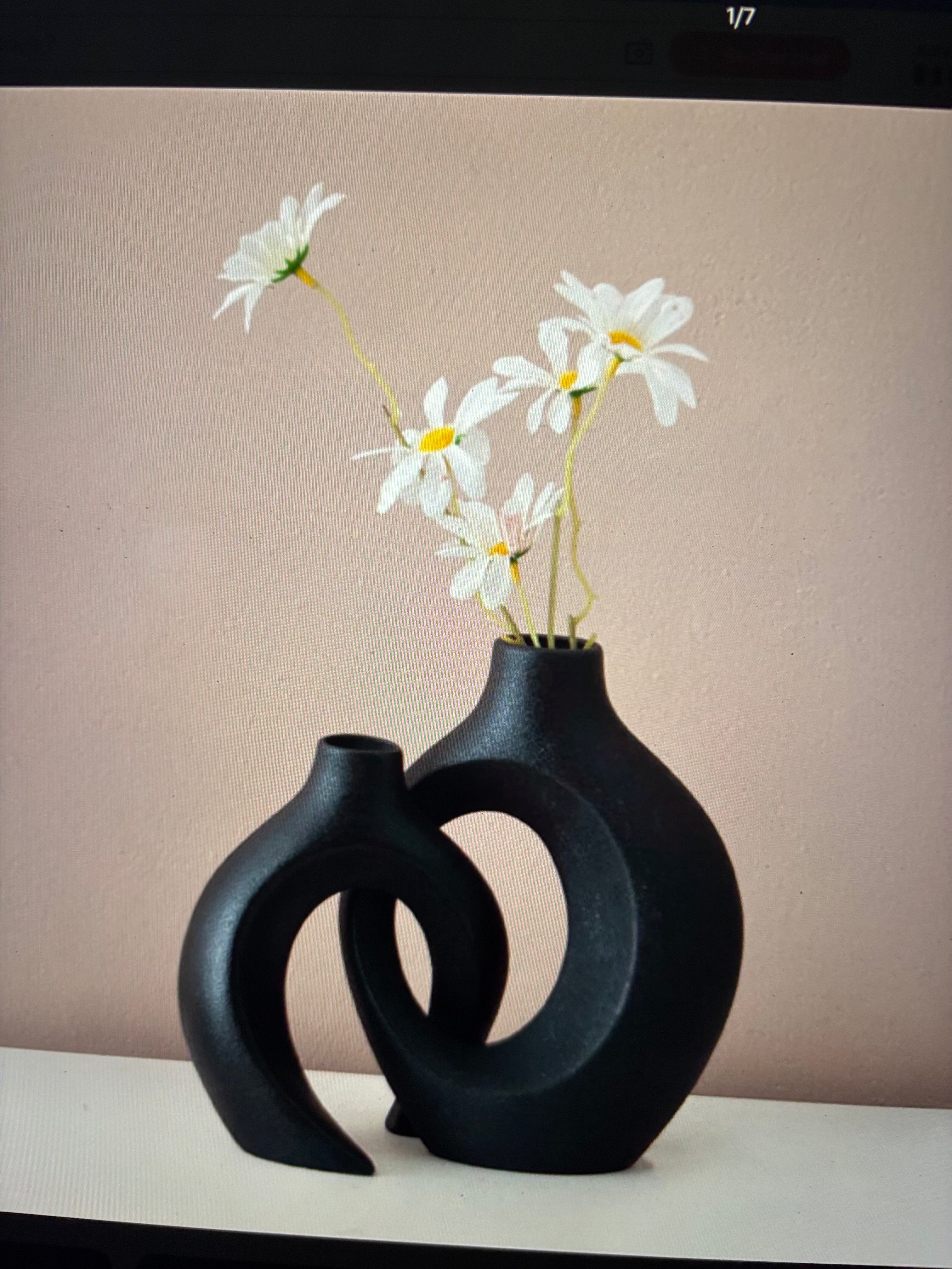 Duo de vase incassable