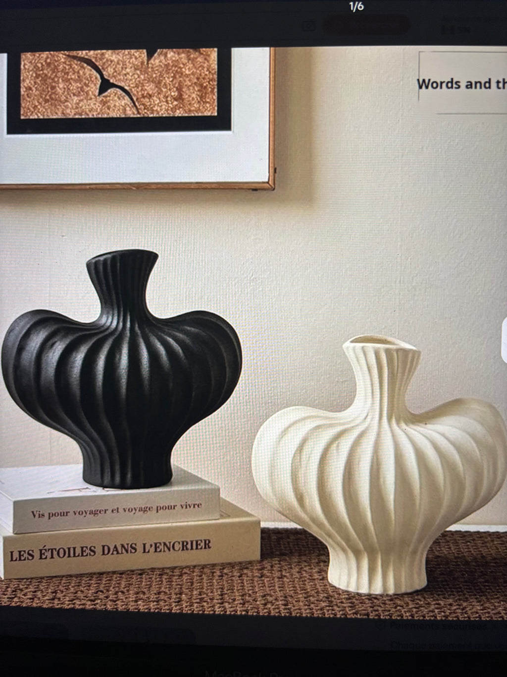 Duo de vase