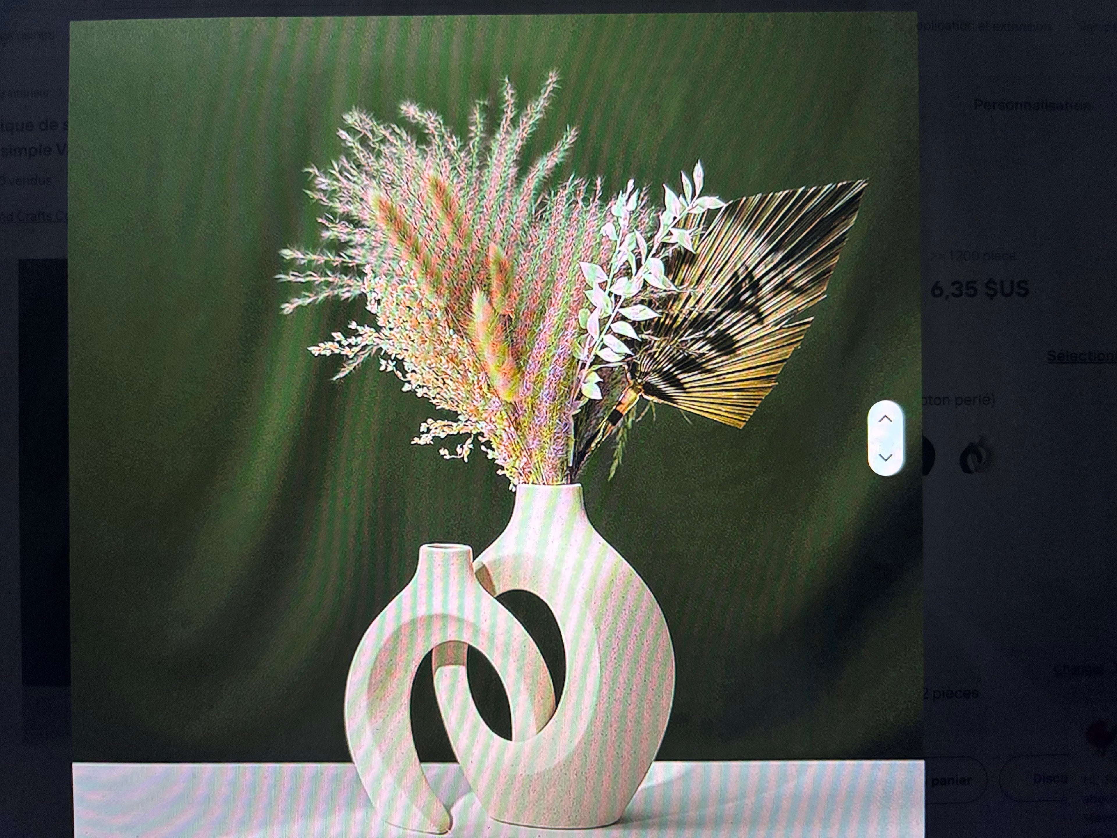 Duo de vase incassable