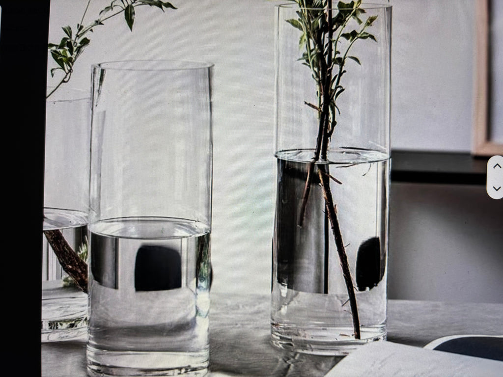 Vase transparent Grand et Mini