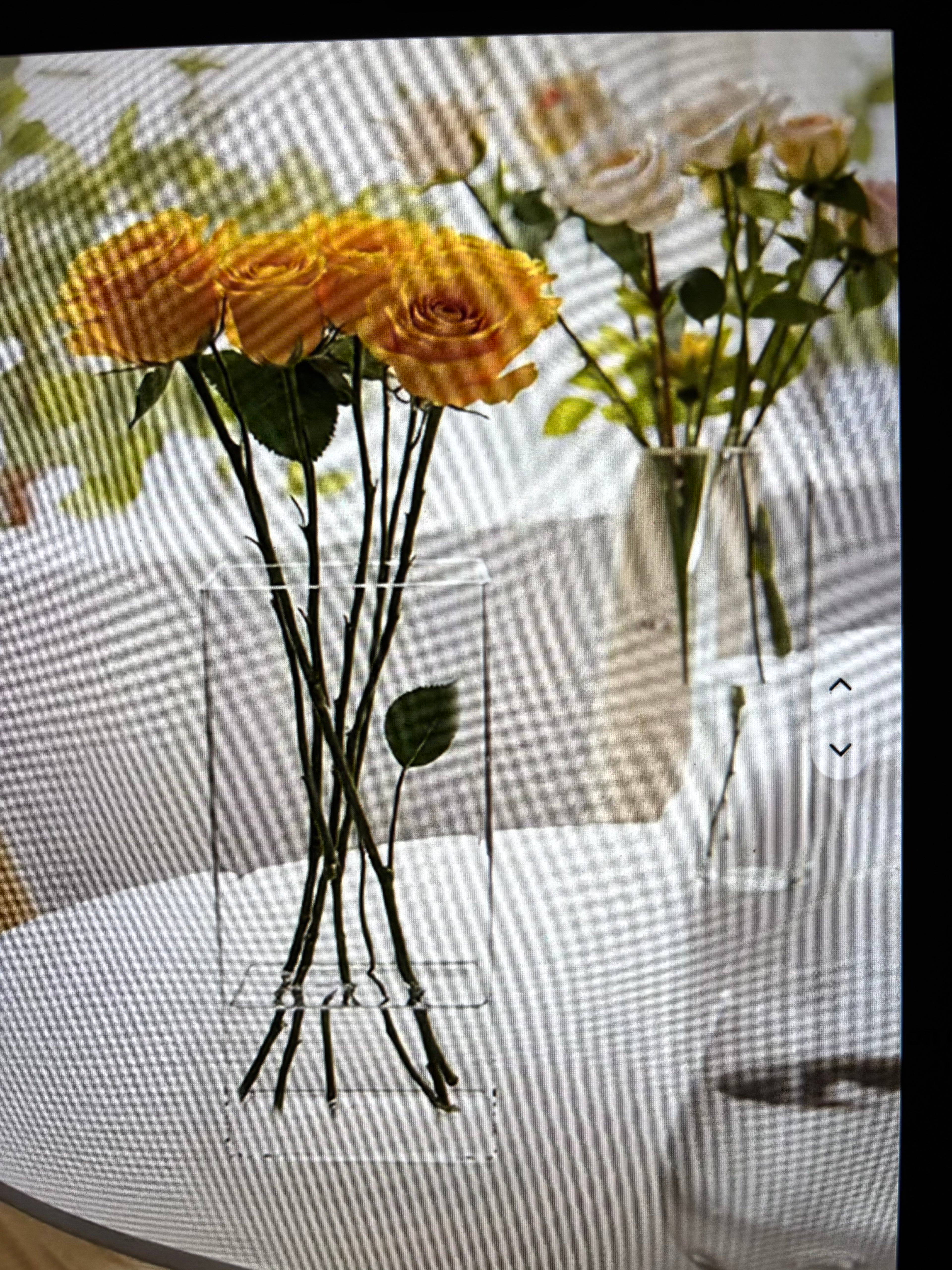 Vase transparent Grand et Mini